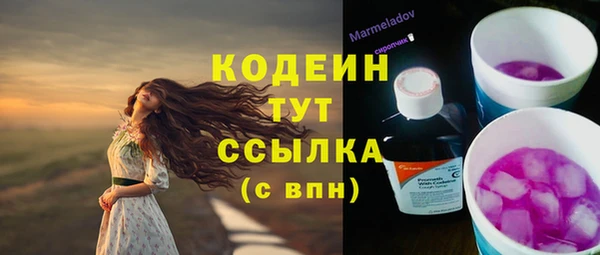 мет Пересвет